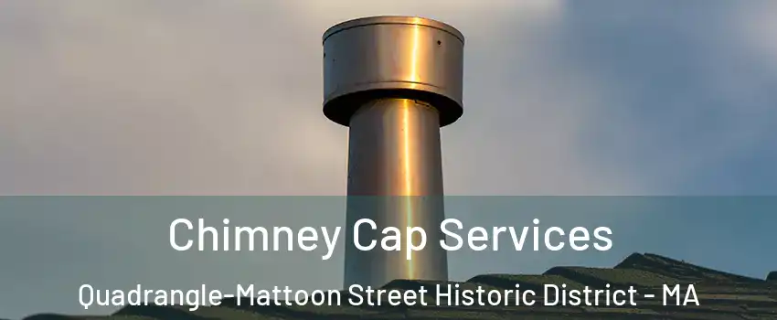 Chimney Cap Services Quadrangle-Mattoon Street Historic District - MA