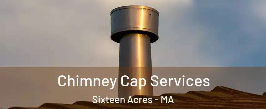 Chimney Cap Services Sixteen Acres - MA