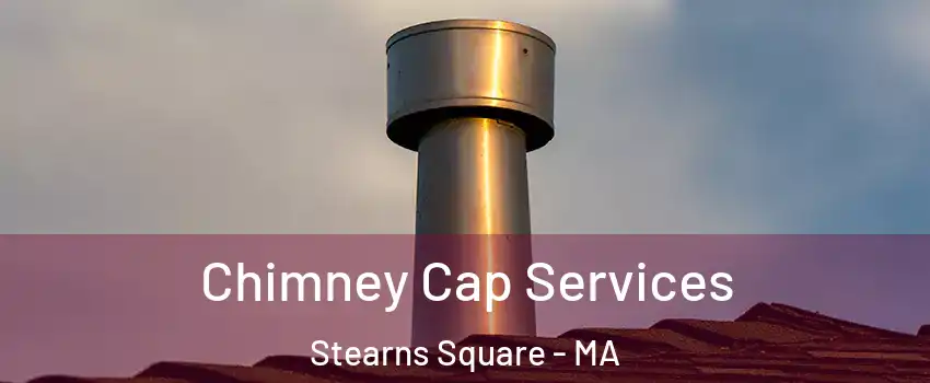 Chimney Cap Services Stearns Square - MA