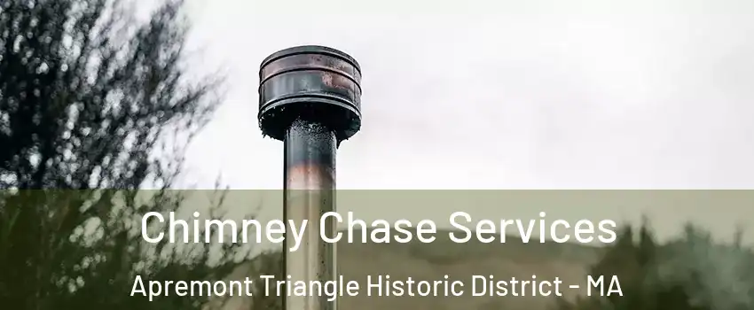 Chimney Chase Services Apremont Triangle Historic District - MA
