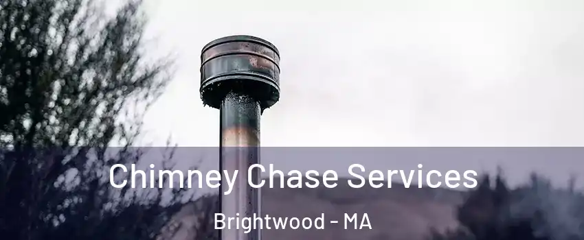 Chimney Chase Services Brightwood - MA