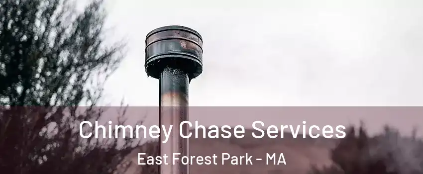Chimney Chase Services East Forest Park - MA