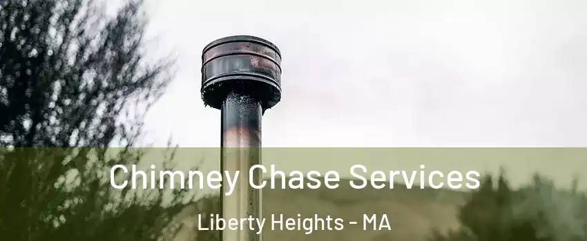 Chimney Chase Services Liberty Heights - MA