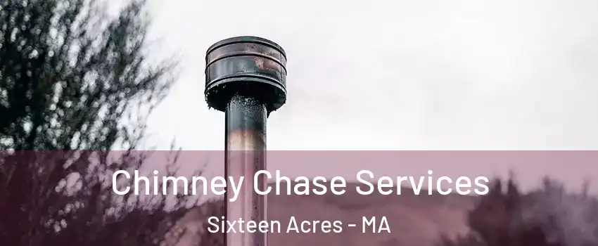 Chimney Chase Services Sixteen Acres - MA