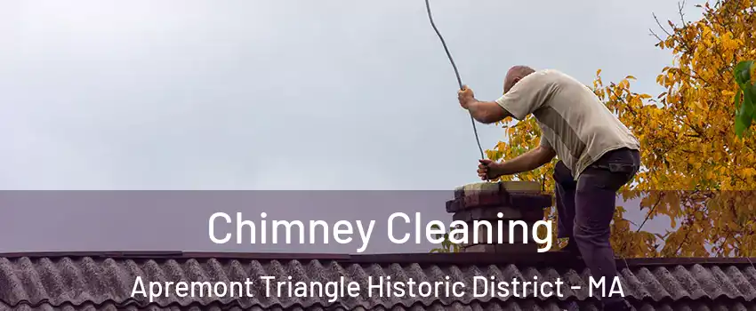 Chimney Cleaning Apremont Triangle Historic District - MA