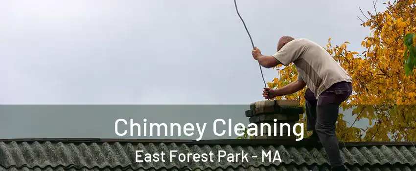 Chimney Cleaning East Forest Park - MA