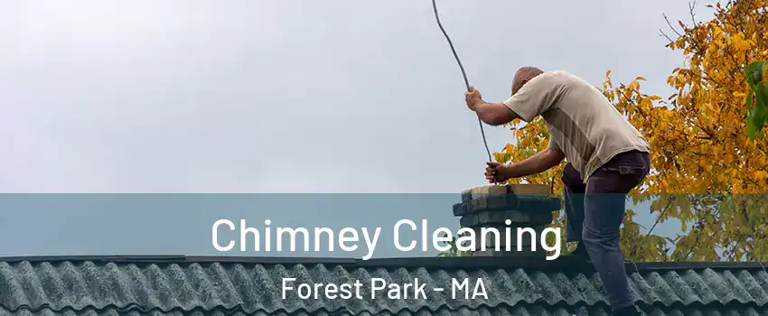 Chimney Cleaning Forest Park - MA
