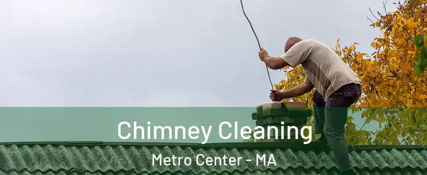 Chimney Cleaning Metro Center - MA