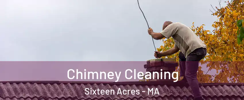 Chimney Cleaning Sixteen Acres - MA