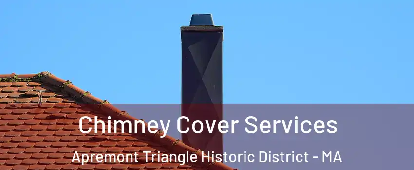 Chimney Cover Services Apremont Triangle Historic District - MA