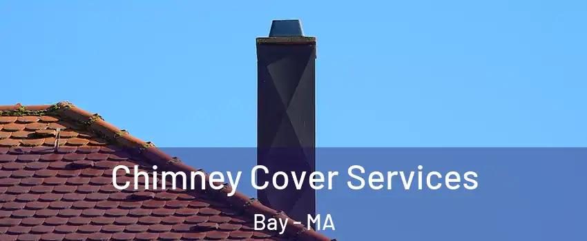 Chimney Cover Services Bay - MA