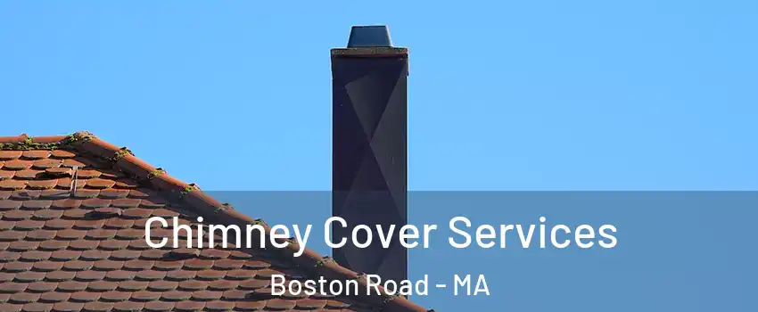 Chimney Cover Services Boston Road - MA