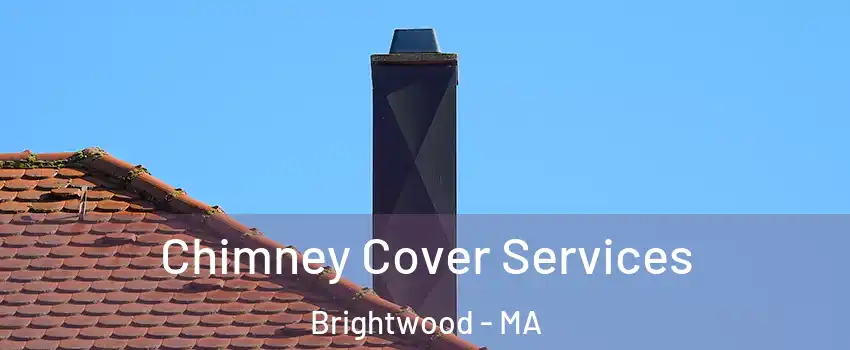 Chimney Cover Services Brightwood - MA