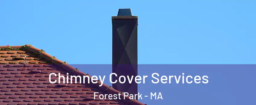 Chimney Cover Services Forest Park - MA