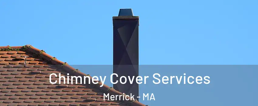 Chimney Cover Services Merrick - MA