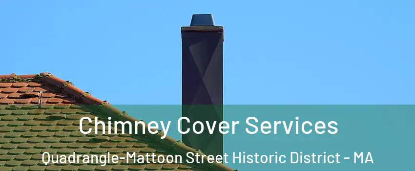Chimney Cover Services Quadrangle-Mattoon Street Historic District - MA