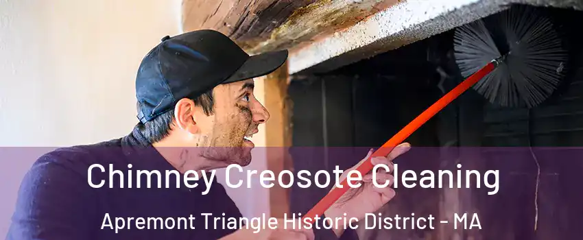Chimney Creosote Cleaning Apremont Triangle Historic District - MA
