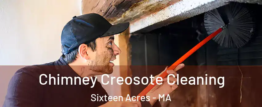 Chimney Creosote Cleaning Sixteen Acres - MA
