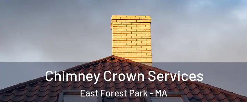 Chimney Crown Services East Forest Park - MA