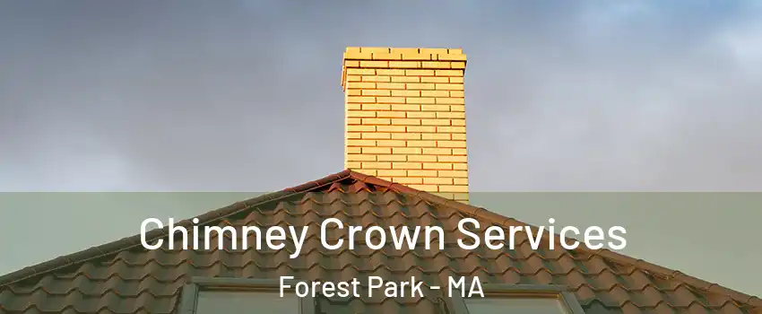 Chimney Crown Services Forest Park - MA