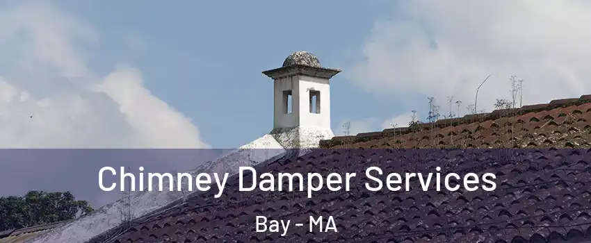 Chimney Damper Services Bay - MA