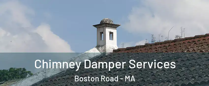 Chimney Damper Services Boston Road - MA
