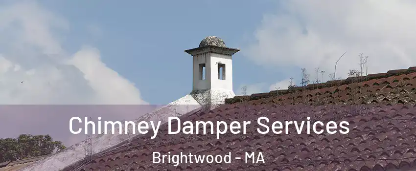 Chimney Damper Services Brightwood - MA
