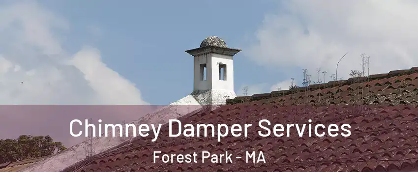 Chimney Damper Services Forest Park - MA