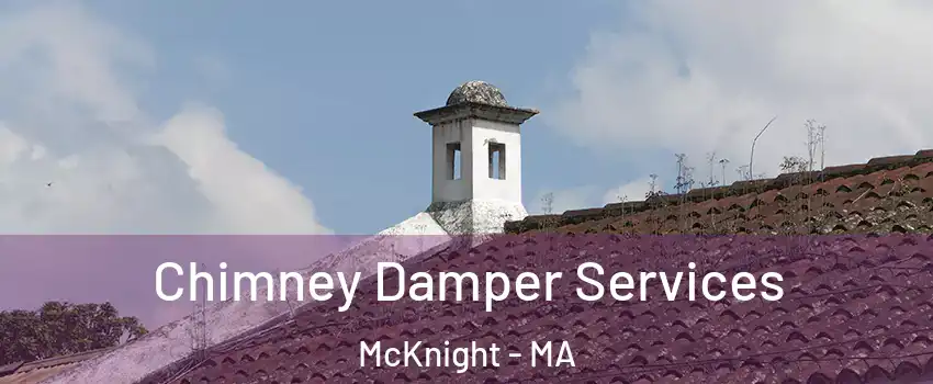 Chimney Damper Services McKnight - MA
