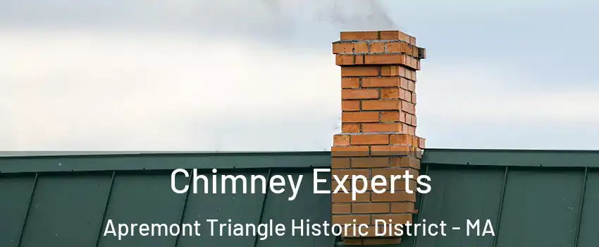 Chimney Experts Apremont Triangle Historic District - MA