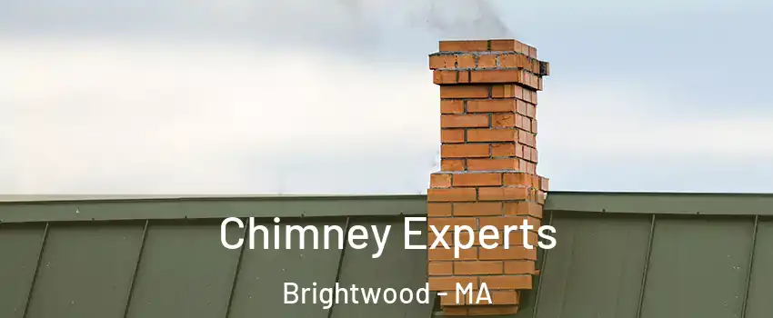 Chimney Experts Brightwood - MA