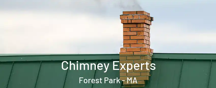 Chimney Experts Forest Park - MA