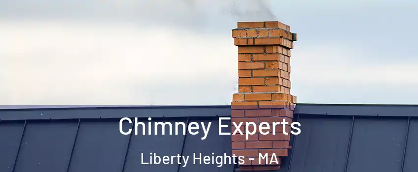 Chimney Experts Liberty Heights - MA