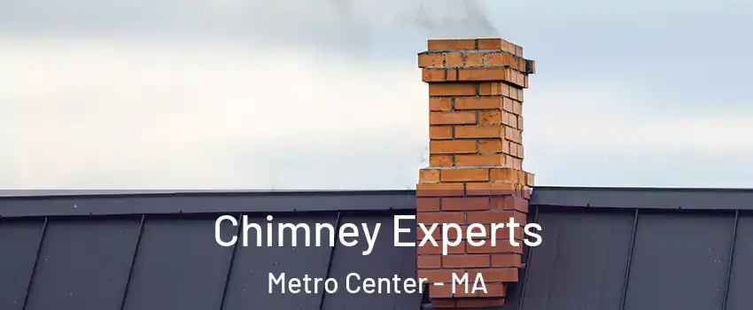 Chimney Experts Metro Center - MA