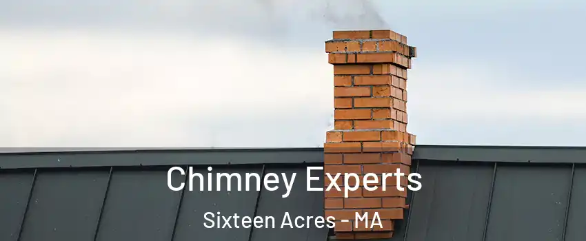 Chimney Experts Sixteen Acres - MA