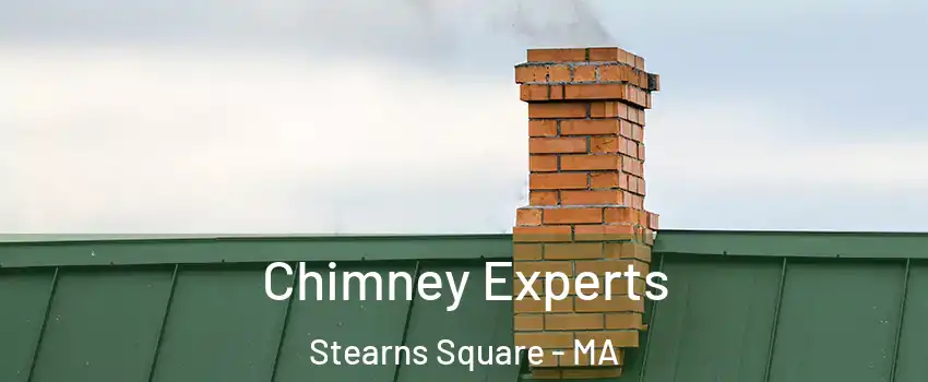 Chimney Experts Stearns Square - MA