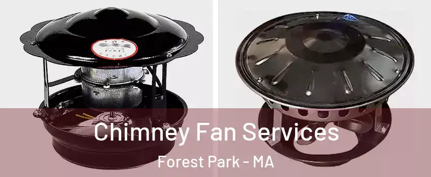 Chimney Fan Services Forest Park - MA