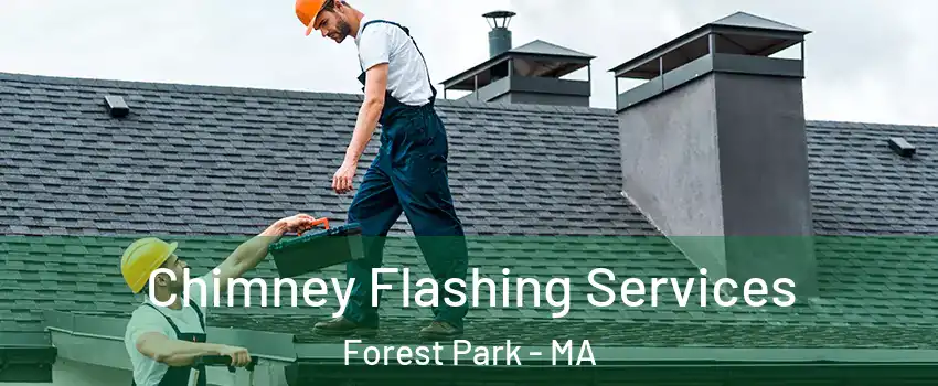Chimney Flashing Services Forest Park - MA
