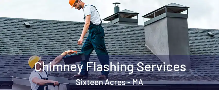 Chimney Flashing Services Sixteen Acres - MA