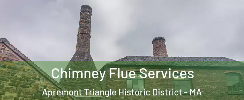 Chimney Flue Services Apremont Triangle Historic District - MA