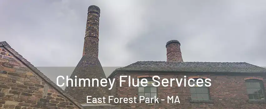 Chimney Flue Services East Forest Park - MA