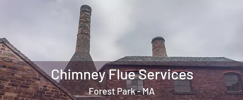 Chimney Flue Services Forest Park - MA