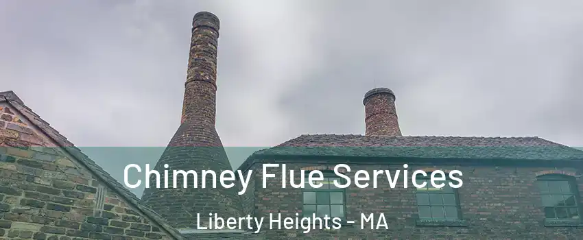 Chimney Flue Services Liberty Heights - MA