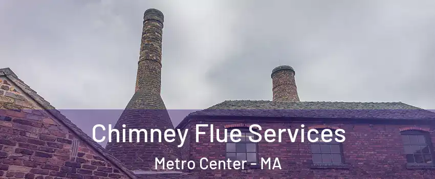 Chimney Flue Services Metro Center - MA