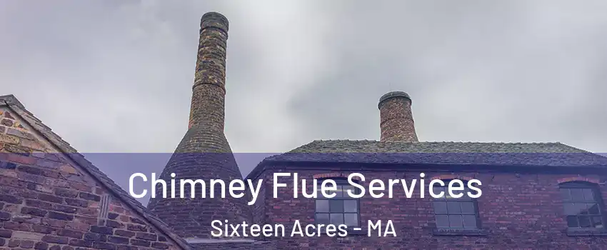 Chimney Flue Services Sixteen Acres - MA