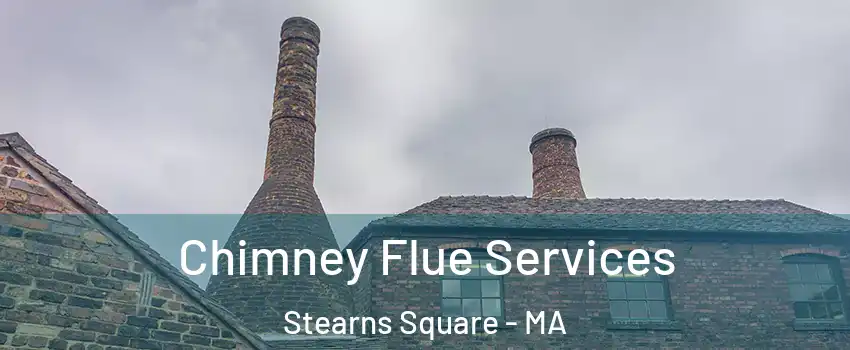 Chimney Flue Services Stearns Square - MA