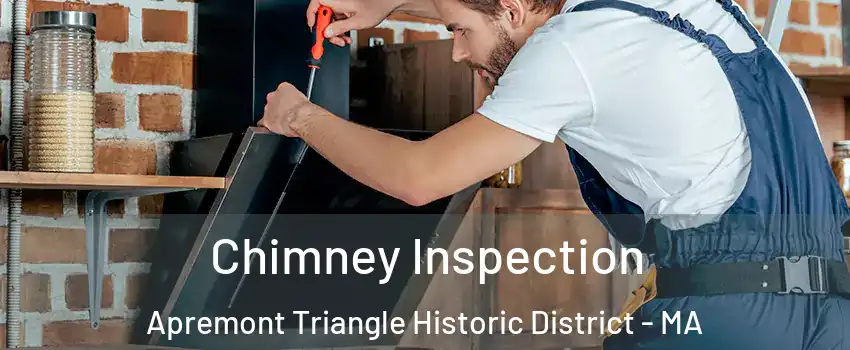 Chimney Inspection Apremont Triangle Historic District - MA