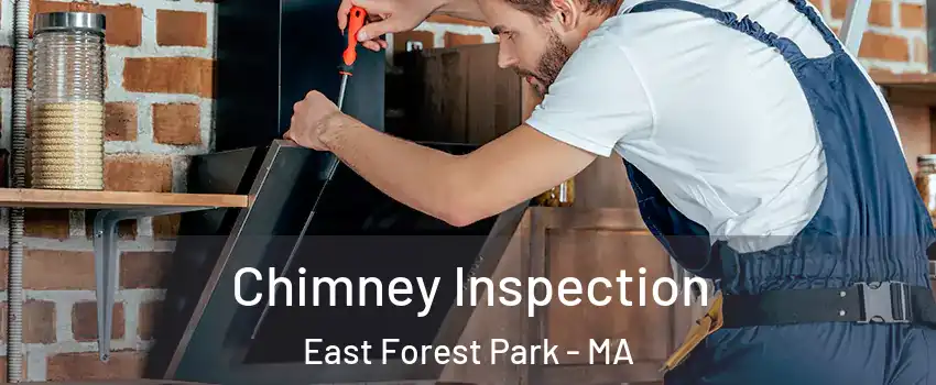 Chimney Inspection East Forest Park - MA