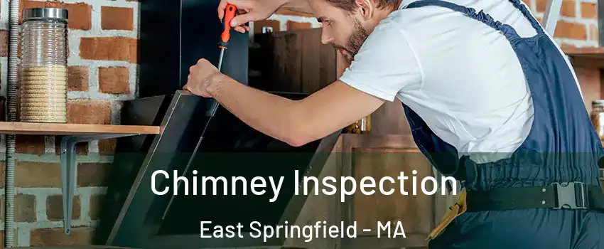 Chimney Inspection East Springfield - MA