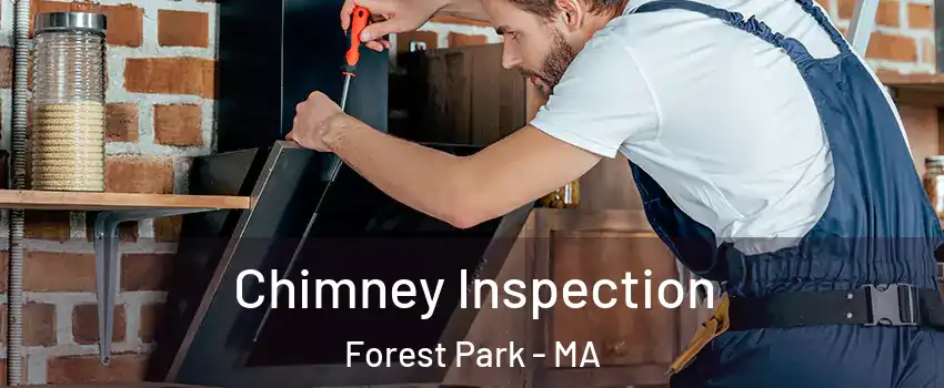 Chimney Inspection Forest Park - MA